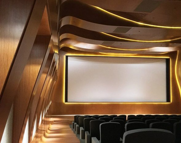 Disney Cinema