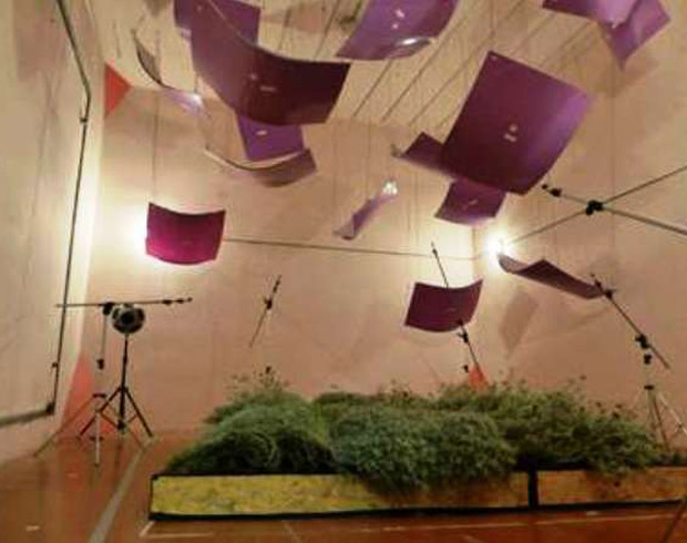 Greenwallsef2